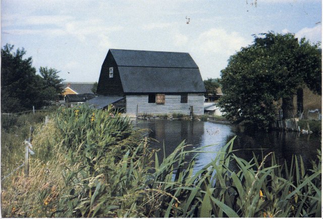  The Millpond and rear of Ford End Watermill