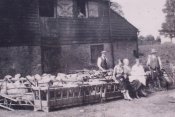 sheepwashing at Ford End Watermill